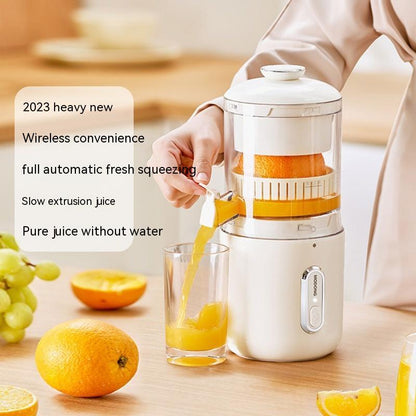 portable electric juicer